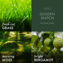 Golden Snitch 3 wick candle